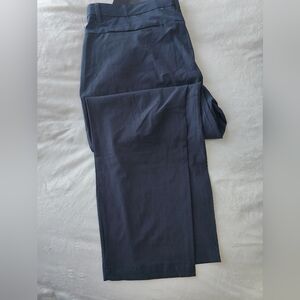 Men's fabletics "fhe only pant"